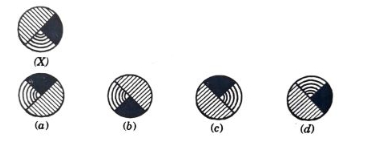 Figure for MBA CET 2025 Slot 2 question 77