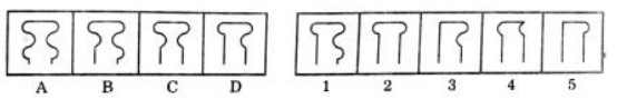 Option C