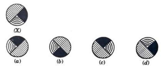 Option D