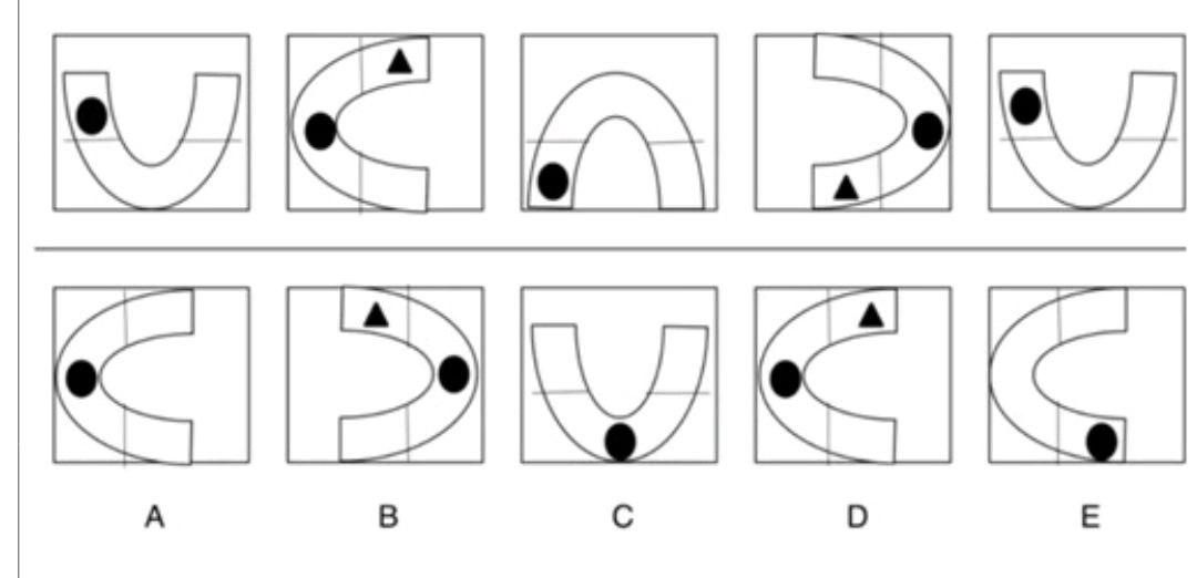 Figure for MBA CET 2025 Slot 5 question 92