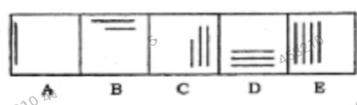 Figure for MBA CET 2025 Slot 6 question 77