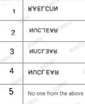 Option E