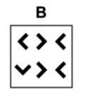 Option B