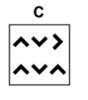 Option C