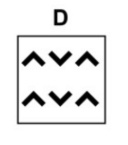 Option D