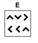 Option E