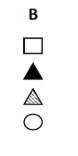 Option B