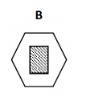 Option B