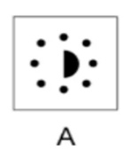 Option A