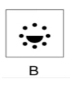 Option B