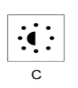 Option C